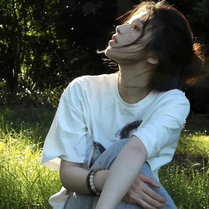 我的岳父是朱棣